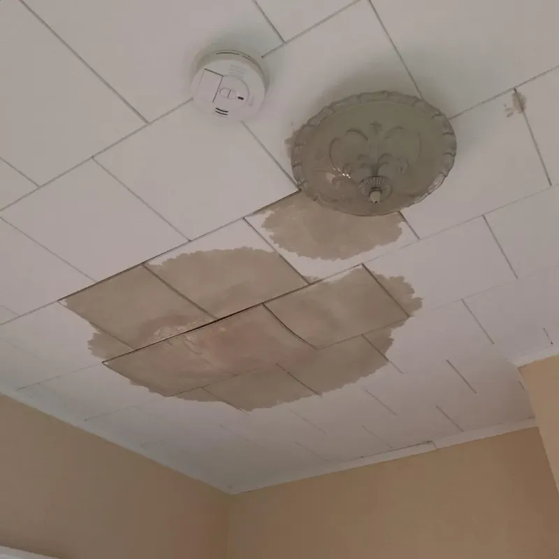 Ceiling Water Damage Repair in Lawnton, PA